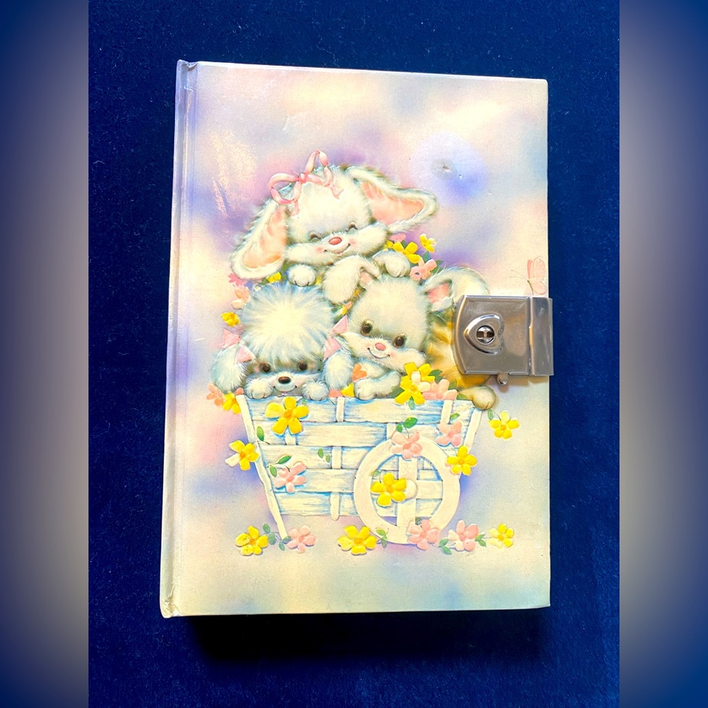 Diary with buckle